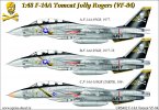   F-14A TOMCAT VF-84 HI-VIZ