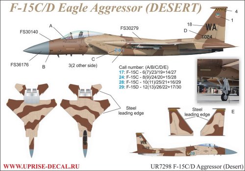   F-15/D, Aggressor (Desert)