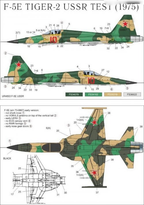   F-5E Tiger-II USSR Test + stencils