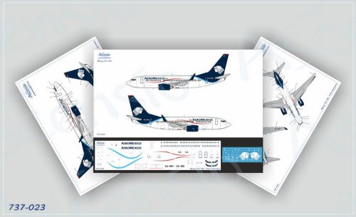    Boeing 737-700 Aeromexico