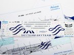    Boeing 737-800 SkyTeam (  )