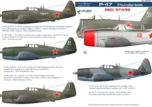  P-47 Thunderbolt Red Stars