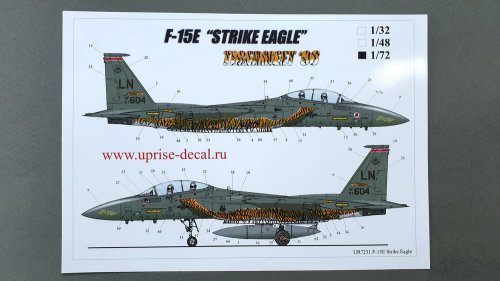   F-15E Strike Eagle Tigermeet'98