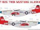      F-82G Twin Mustang Alaska+masks (UpRise)