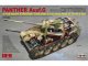    !  ! Panther Ausf.G with Full Interior &amp; Cut Away Parts (Rye Field Models)