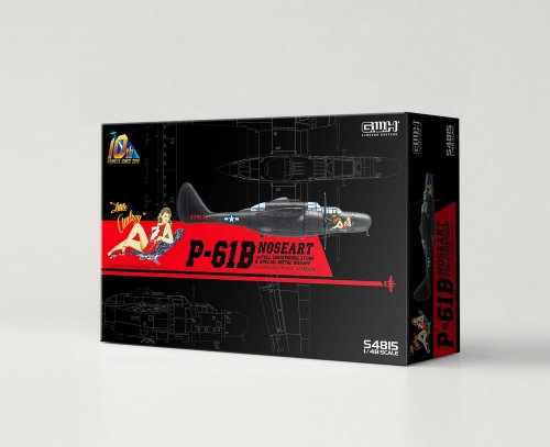 !  !  P-61b Noseart+Weapons ( )
