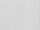      0,25  175250  3  (  ) (SX-Art)