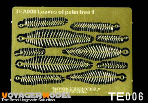 Leaves of plam tree I (Same as TE006)