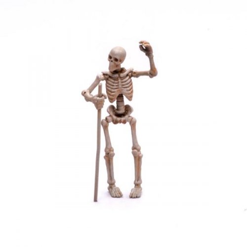 ,  S (2 )