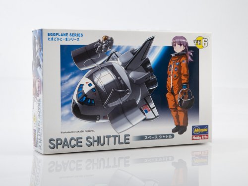 C EGG PLANE SPACE SHUTTLE