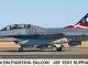    F-16BM FIGHTING FALCON &quot;JSF TEST SUPPORT&quot; (Hasegawa)