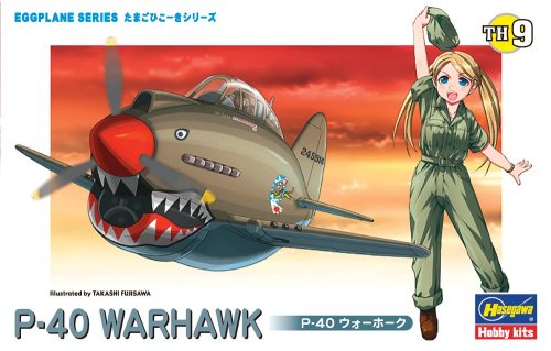  EGG PLANE P-40 WARHAWK