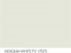    Insignia White Fs 17875 10ml (AK Interactive)