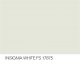    Insignia White Fs 17875 10ml (AK Interactive)