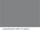    Aggressor Grey Fs 36251 10ml (AK Interactive)