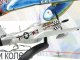     ,  101   P-51D Mustang (DeAgostini)