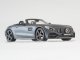    Mercedes AMG GT C Roadster, grey (Norev)