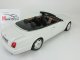      (Minichamps)