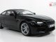     M6 Coupe F13M (Paragon Models)