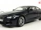     M6 Coupe F13M (Paragon Models)