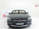    SL AMG 45th Anniversary  (Maisto)