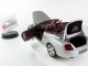      GT 2006,  (Minichamps)