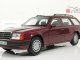     300TE S124 (W124) (Best of Show)