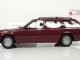     300TE S124 (W124) (Best of Show)