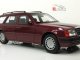     300TE S124 (W124) (Best of Show)