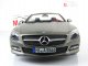     SL500  (Norev)