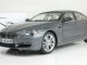     650i Gran Coupe (F06) (Paragon Models)