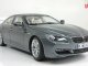     650i Gran Coupe (F06) (Paragon Models)