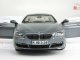     650i Gran Coupe (F06) (Paragon Models)