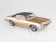    Buick LeSabre customs sport Coupe (Best of Show)