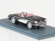    Chevrolet Corvette C1, black/white (Neo Scale Models)