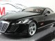     Concept Car Exelero (Schuco)