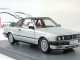     318 (E30)  (Neo Scale Models)