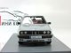     318 (E30)  (Neo Scale Models)