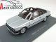     318 (E30)  (Neo Scale Models)