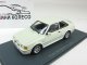     Escort MK4 RS Turbo,  (Neo Scale Models)