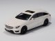    MERCEDES-BENZ CLS63 AMG Shooting Brake (218) 2014 White (GLM)