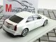     CTS-V Sedan (Luxury Collectibles)