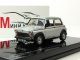    Mini 1000 25th Anniversary (Vitesse)