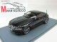     Z4  2009,  (Neo Scale Models)