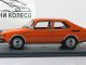     99 Combi Coupe (Neo Scale Models)