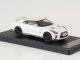    Nissan GT-R, metallic-white (Premium X)