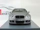      GT Hamann Imperator (Neo Scale Models)