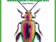 Масштабная коллекционная модель Выпуск №28: Жуки и пауки, Фиолетовый стеблевой жук (Жуки и пауки (MODIMIO))
