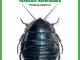     20:   , - (   (MODIMIO))