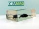     (Calosoma sp.)        20 (DeAgostini)